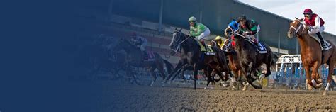 drf classic pp|PPs .